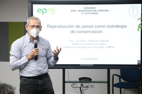Nuevas especies halladas Río Cauca
Nuevas especies halladas Río Cauca
Fecha: 11 Noviembre 2020.
Para descargar esta fotografía en alta resolución, haga clic sobre la imagen hasta que la misma se despliegue en la pantalla completa; luego dé clic derecho y elija la opción "guardar imagen como". 
En caso de publicación por cualquier medio, solicitamos acompañarla del crédito: "Foto EPM"
Palabras clave: Nuevas especies halladas Río Cauca