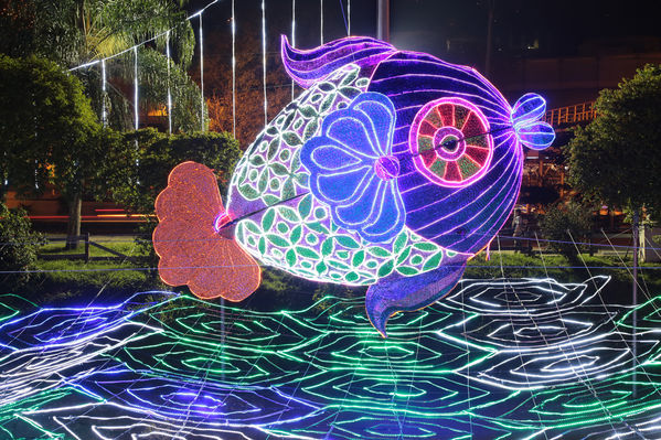 Encendido del Alumbrado Navideño 2014
Encendido del Alumbrado Navideño 2014
Fecha: Noviembre 18 de 2014
Para descargar esta fotografía en alta resolución, haga clic sobre la imagen hasta que la misma se despliegue en la pantalla completa; luego dé clic derecho y elija la opción "guardar imagen como". 
En caso de publicación por cualquier medio, solicitamos acompañarla del crédito: "Foto EPM"
Palabras clave: Encendido Alumbrado Navideño 2014