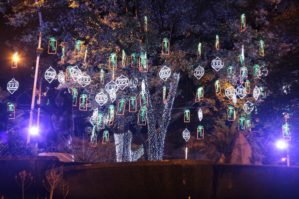 Ensayo del Alumbrado Navideño
Ensayo del Alumbrado Navideño
Fecha: Noviembre 25 de 2016
Para descargar esta fotografía en alta resolución, haga clic sobre la imagen hasta que la misma se despliegue en la pantalla completa; luego dé clic derecho y elija la opción "guardar imagen como". 
En caso de publicación por cualquier medio, solicitamos acompañarla del crédito: "Foto EPM"
Palabras clave: Ensayo Alumbrado Navideño