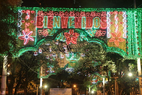 Ensayo del Alumbrado Navideño
Ensayo del Alumbrado Navideño
Fecha: Noviembre 25 de 2016
Para descargar esta fotografía en alta resolución, haga clic sobre la imagen hasta que la misma se despliegue en la pantalla completa; luego dé clic derecho y elija la opción "guardar imagen como". 
En caso de publicación por cualquier medio, solicitamos acompañarla del crédito: "Foto EPM"
Palabras clave: Ensayo Alumbrado Navideño