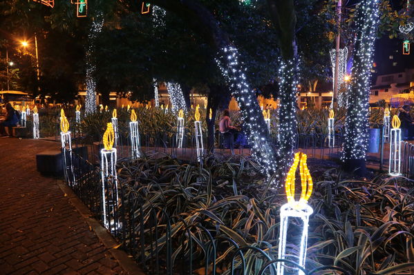Ensayo del Alumbrado Navideño
Ensayo del Alumbrado Navideño
Fecha: Noviembre 25 de 2016
Para descargar esta fotografía en alta resolución, haga clic sobre la imagen hasta que la misma se despliegue en la pantalla completa; luego dé clic derecho y elija la opción "guardar imagen como". 
En caso de publicación por cualquier medio, solicitamos acompañarla del crédito: "Foto EPM"
Palabras clave: Ensayo Alumbrado Navideño