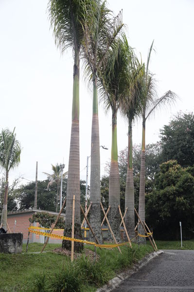 Modernización Planta La Ayurá
Modernización Planta La Ayurá
Fecha: Noviembre 27 2019 
Para descargar esta fotografía en alta resolución, haga clic sobre la imagen hasta que la misma se despliegue en la pantalla completa; luego dé clic derecho y elija la opción "guardar imagen como". 
En caso de publicación por cualquier medio, solicitamos acompañarla del crédito: "Foto EPM"
Palabras clave: Modernización Planta La Ayurá
