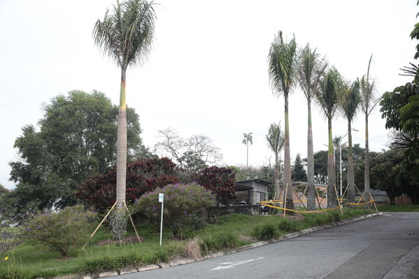 Modernización Planta La Ayurá
Modernización Planta La Ayurá
Fecha: Noviembre 27 2019 
Para descargar esta fotografía en alta resolución, haga clic sobre la imagen hasta que la misma se despliegue en la pantalla completa; luego dé clic derecho y elija la opción "guardar imagen como". 
En caso de publicación por cualquier medio, solicitamos acompañarla del crédito: "Foto EPM"
Palabras clave: Modernización Planta La Ayurá