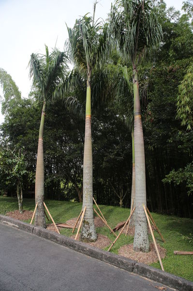 Modernización Planta La Ayurá
Modernización Planta La Ayurá
Fecha: Noviembre 27 2019 
Para descargar esta fotografía en alta resolución, haga clic sobre la imagen hasta que la misma se despliegue en la pantalla completa; luego dé clic derecho y elija la opción "guardar imagen como". 
En caso de publicación por cualquier medio, solicitamos acompañarla del crédito: "Foto EPM"
Palabras clave: Modernización Planta La Ayurá