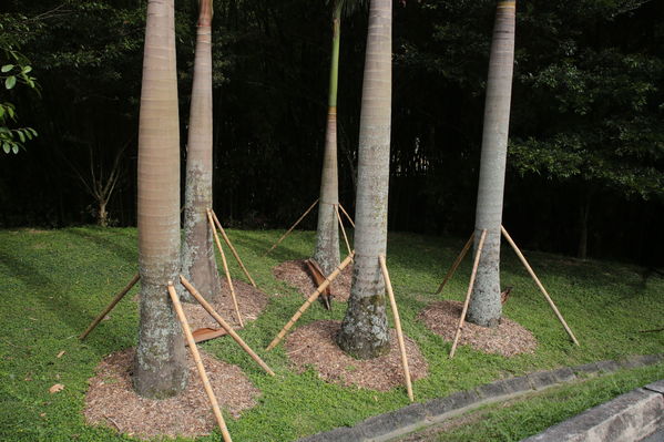 Modernización Planta La Ayurá
Modernización Planta La Ayurá
Fecha: Noviembre 27 2019 
Para descargar esta fotografía en alta resolución, haga clic sobre la imagen hasta que la misma se despliegue en la pantalla completa; luego dé clic derecho y elija la opción "guardar imagen como". 
En caso de publicación por cualquier medio, solicitamos acompañarla del crédito: "Foto EPM"
Palabras clave: Modernización Planta La Ayurá