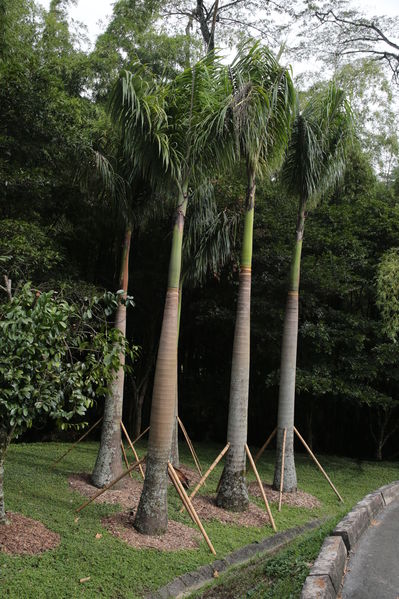 Modernización Planta La Ayurá
Modernización Planta La Ayurá
Fecha: Noviembre 27 2019 
Para descargar esta fotografía en alta resolución, haga clic sobre la imagen hasta que la misma se despliegue en la pantalla completa; luego dé clic derecho y elija la opción "guardar imagen como". 
En caso de publicación por cualquier medio, solicitamos acompañarla del crédito: "Foto EPM"
Palabras clave: Modernización Planta La Ayurá