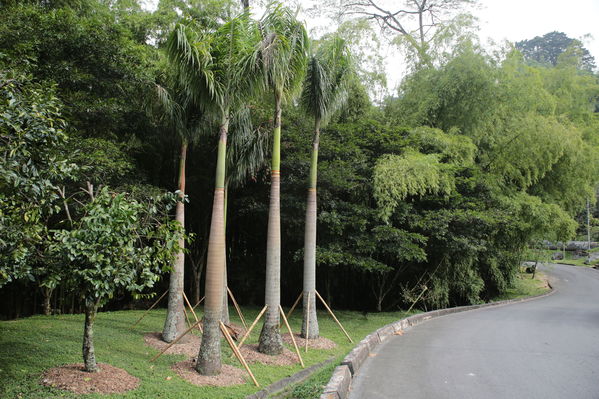 Modernización Planta La Ayurá
Modernización Planta La Ayurá
Fecha: Noviembre 27 2019 
Para descargar esta fotografía en alta resolución, haga clic sobre la imagen hasta que la misma se despliegue en la pantalla completa; luego dé clic derecho y elija la opción "guardar imagen como". 
En caso de publicación por cualquier medio, solicitamos acompañarla del crédito: "Foto EPM"
Palabras clave: Modernización Planta La Ayurá