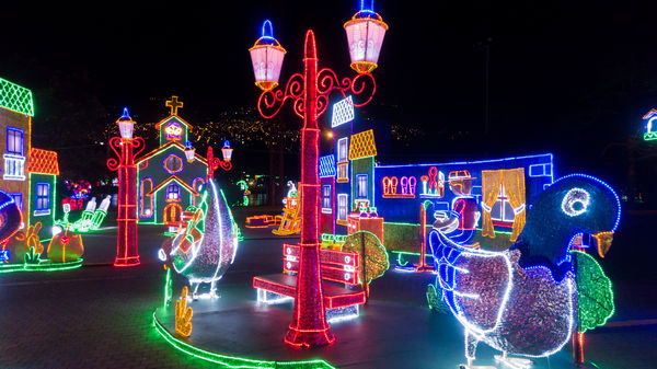 Encendido del Alumbrado Navideño 2019
Encendido del Alumbrado Navideño 2019
Fecha: Noviembre 28 2019.
Para descargar esta fotografía en alta resolución, haga clic sobre la imagen hasta que la misma se despliegue en la pantalla completa; luego dé clic derecho y elija la opción "guardar imagen como". 
En caso de publicación por cualquier medio, solicitamos acompañarla del crédito: "Foto EPM"
Palabras clave: Encendido del Alumbrado Navideño 2019