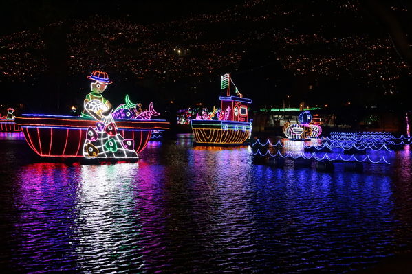 Encendido del Alumbrado Navideño 2019
Encendido del Alumbrado Navideño 2019
Fecha: Noviembre 28 2019.
Para descargar esta fotografía en alta resolución, haga clic sobre la imagen hasta que la misma se despliegue en la pantalla completa; luego dé clic derecho y elija la opción "guardar imagen como". 
En caso de publicación por cualquier medio, solicitamos acompañarla del crédito: "Foto EPM"
Palabras clave: Encendido del Alumbrado Navideño 2019