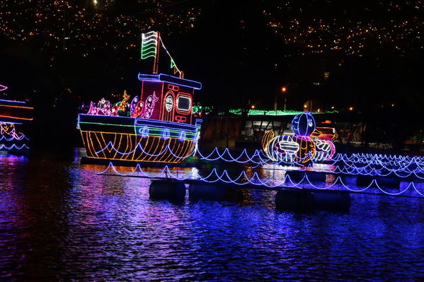 Encendido del Alumbrado Navideño 2019
Encendido del Alumbrado Navideño 2019
Fecha: Noviembre 28 2019.
Para descargar esta fotografía en alta resolución, haga clic sobre la imagen hasta que la misma se despliegue en la pantalla completa; luego dé clic derecho y elija la opción "guardar imagen como". 
En caso de publicación por cualquier medio, solicitamos acompañarla del crédito: "Foto EPM"
Palabras clave: Encendido del Alumbrado Navideño 2019