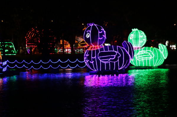 Encendido del Alumbrado Navideño 2019
Encendido del Alumbrado Navideño 2019
Fecha: Noviembre 28 2019.
Para descargar esta fotografía en alta resolución, haga clic sobre la imagen hasta que la misma se despliegue en la pantalla completa; luego dé clic derecho y elija la opción "guardar imagen como". 
En caso de publicación por cualquier medio, solicitamos acompañarla del crédito: "Foto EPM"
Palabras clave: Encendido del Alumbrado Navideño 2019