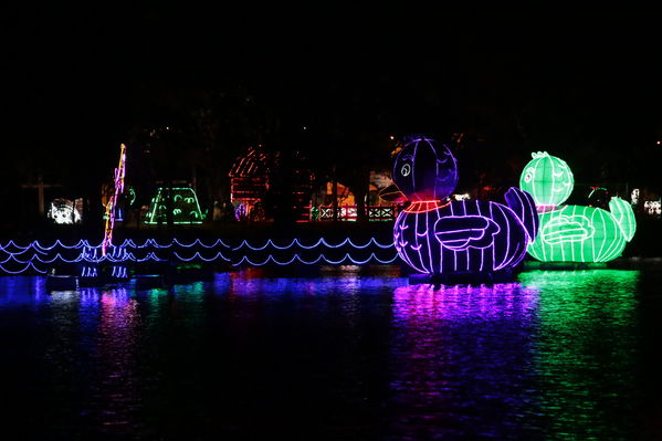 Encendido del Alumbrado Navideño 2019
Encendido del Alumbrado Navideño 2019
Fecha: Noviembre 28 2019.
Para descargar esta fotografía en alta resolución, haga clic sobre la imagen hasta que la misma se despliegue en la pantalla completa; luego dé clic derecho y elija la opción "guardar imagen como". 
En caso de publicación por cualquier medio, solicitamos acompañarla del crédito: "Foto EPM"
Palabras clave: Encendido del Alumbrado Navideño 2019