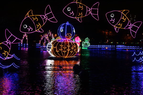 Encendido del Alumbrado Navideño 2019
Encendido del Alumbrado Navideño 2019
Fecha: Noviembre 28 2019.
Para descargar esta fotografía en alta resolución, haga clic sobre la imagen hasta que la misma se despliegue en la pantalla completa; luego dé clic derecho y elija la opción "guardar imagen como". 
En caso de publicación por cualquier medio, solicitamos acompañarla del crédito: "Foto EPM"
Palabras clave: Encendido del Alumbrado Navideño 2019