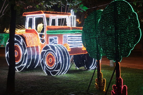 Encendido del Alumbrado Navideño 2019
Encendido del Alumbrado Navideño 2019
Fecha: Noviembre 28 2019.
Para descargar esta fotografía en alta resolución, haga clic sobre la imagen hasta que la misma se despliegue en la pantalla completa; luego dé clic derecho y elija la opción "guardar imagen como". 
En caso de publicación por cualquier medio, solicitamos acompañarla del crédito: "Foto EPM"
Palabras clave: Encendido del Alumbrado Navideño 2019