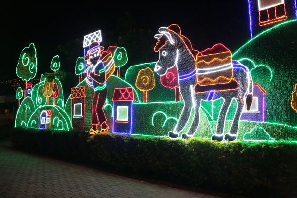 Encendido del Alumbrado Navideño 2019
Encendido del Alumbrado Navideño 2019
Fecha: Noviembre 28 2019.
Para descargar esta fotografía en alta resolución, haga clic sobre la imagen hasta que la misma se despliegue en la pantalla completa; luego dé clic derecho y elija la opción "guardar imagen como". 
En caso de publicación por cualquier medio, solicitamos acompañarla del crédito: "Foto EPM"
Palabras clave: Encendido del Alumbrado Navideño 2019