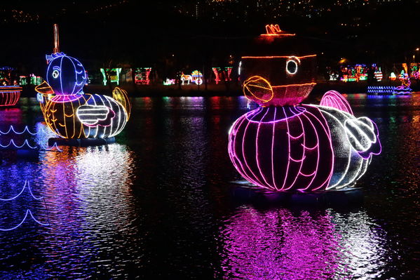 Encendido del Alumbrado Navideño 2019
Encendido del Alumbrado Navideño 2019
Fecha: Noviembre 28 2019.
Para descargar esta fotografía en alta resolución, haga clic sobre la imagen hasta que la misma se despliegue en la pantalla completa; luego dé clic derecho y elija la opción "guardar imagen como". 
En caso de publicación por cualquier medio, solicitamos acompañarla del crédito: "Foto EPM"
Palabras clave: Encendido del Alumbrado Navideño 2019