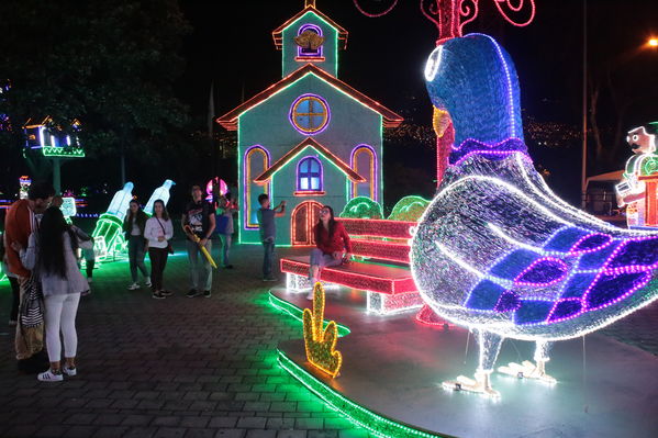 Encendido del Alumbrado Navideño 2019
Encendido del Alumbrado Navideño 2019
Fecha: Noviembre 28 2019.
Para descargar esta fotografía en alta resolución, haga clic sobre la imagen hasta que la misma se despliegue en la pantalla completa; luego dé clic derecho y elija la opción "guardar imagen como". 
En caso de publicación por cualquier medio, solicitamos acompañarla del crédito: "Foto EPM"
Palabras clave: Encendido del Alumbrado Navideño 2019