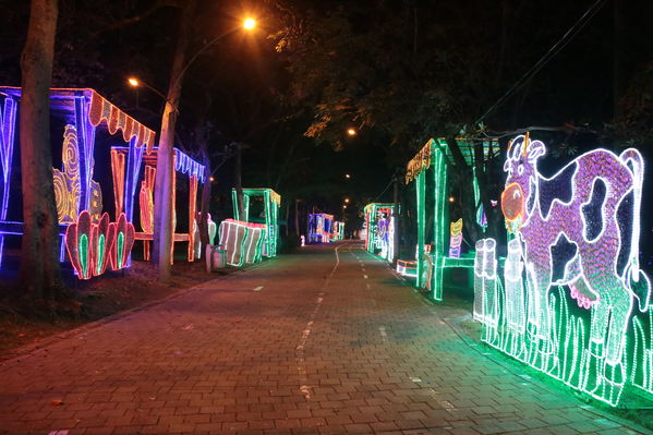 Encendido del Alumbrado Navideño 2019
Encendido del Alumbrado Navideño 2019
Fecha: Noviembre 28 2019.
Para descargar esta fotografía en alta resolución, haga clic sobre la imagen hasta que la misma se despliegue en la pantalla completa; luego dé clic derecho y elija la opción "guardar imagen como". 
En caso de publicación por cualquier medio, solicitamos acompañarla del crédito: "Foto EPM"
Palabras clave: Encendido del Alumbrado Navideño 2019