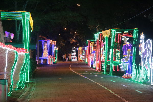 Encendido del Alumbrado Navideño 2019
Encendido del Alumbrado Navideño 2019
Fecha: Noviembre 28 2019.
Para descargar esta fotografía en alta resolución, haga clic sobre la imagen hasta que la misma se despliegue en la pantalla completa; luego dé clic derecho y elija la opción "guardar imagen como". 
En caso de publicación por cualquier medio, solicitamos acompañarla del crédito: "Foto EPM"
Palabras clave: Encendido del Alumbrado Navideño 2019