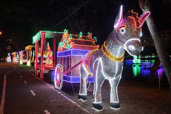 Encendido del Alumbrado Navideño 2019
Encendido del Alumbrado Navideño 2019
Fecha: Noviembre 28 2019.
Para descargar esta fotografía en alta resolución, haga clic sobre la imagen hasta que la misma se despliegue en la pantalla completa; luego dé clic derecho y elija la opción "guardar imagen como". 
En caso de publicación por cualquier medio, solicitamos acompañarla del crédito: "Foto EPM"
Palabras clave: Encendido del Alumbrado Navideño 2019