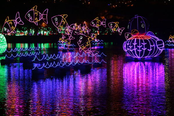 Encendido del Alumbrado Navideño 2019
Encendido del Alumbrado Navideño 2019
Fecha: Noviembre 28 2019.
Para descargar esta fotografía en alta resolución, haga clic sobre la imagen hasta que la misma se despliegue en la pantalla completa; luego dé clic derecho y elija la opción "guardar imagen como". 
En caso de publicación por cualquier medio, solicitamos acompañarla del crédito: "Foto EPM"
Palabras clave: Encendido del Alumbrado Navideño 2019