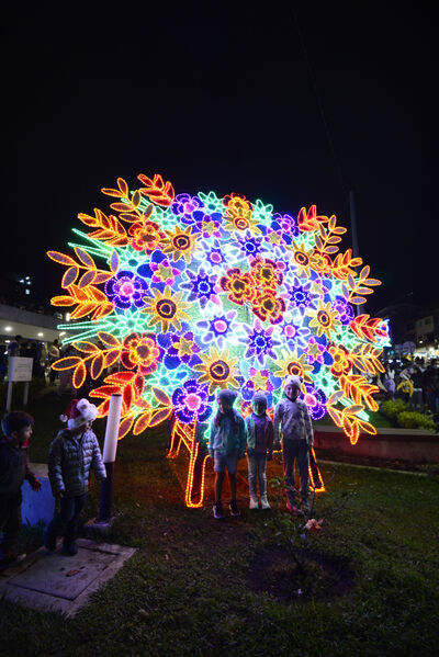 Alumbrados el Peñol
Alumbrados el Peñol.
Fecha: Noviembre 28 2021.
El pasado 28 de noviembre, en compañía de toda la comunidad de El Peñol, se encendieron las luces de navidad en ese municipio del oriente de Antioquia. Estos alumbrados hacen parte del premio Cuidamundos, otorgado por EPM a esta comunidad.
Para descargar esta fotografía en alta resolución, haga clic sobre la imagen hasta que la misma se despliegue en la pantalla completa; luego dé clic derecho y elija la opción "guardar imagen como".
En caso de publicación por cualquier medio, solicitamos acompañarla del crédito: "Foto EPM"
Palabras clave: Alumbrados Peñol