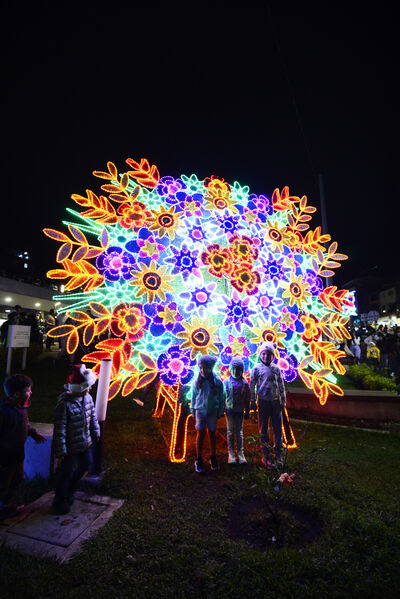 Alumbrados el Peñol
Alumbrados el Peñol.
Fecha: Noviembre 28 2021.
El pasado 28 de noviembre, en compañía de toda la comunidad de El Peñol, se encendieron las luces de navidad en ese municipio del oriente de Antioquia. Estos alumbrados hacen parte del premio Cuidamundos, otorgado por EPM a esta comunidad.
Para descargar esta fotografía en alta resolución, haga clic sobre la imagen hasta que la misma se despliegue en la pantalla completa; luego dé clic derecho y elija la opción "guardar imagen como".
En caso de publicación por cualquier medio, solicitamos acompañarla del crédito: "Foto EPM"
Palabras clave: Alumbrados Peñol