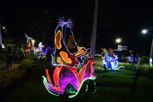 Alumbrados el Peñol
Alumbrados el Peñol.
Fecha: Noviembre 28 2021.
El pasado 28 de noviembre, en compañía de toda la comunidad de El Peñol, se encendieron las luces de navidad en ese municipio del oriente de Antioquia. Estos alumbrados hacen parte del premio Cuidamundos, otorgado por EPM a esta comunidad.
Para descargar esta fotografía en alta resolución, haga clic sobre la imagen hasta que la misma se despliegue en la pantalla completa; luego dé clic derecho y elija la opción "guardar imagen como".
En caso de publicación por cualquier medio, solicitamos acompañarla del crédito: "Foto EPM"
Palabras clave: Alumbrados Peñol