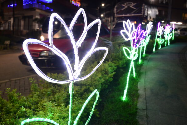 Alumbrados el Peñol
Alumbrados el Peñol.
Fecha: Noviembre 28 2021.
El pasado 28 de noviembre, en compañía de toda la comunidad de El Peñol, se encendieron las luces de navidad en ese municipio del oriente de Antioquia. Estos alumbrados hacen parte del premio Cuidamundos, otorgado por EPM a esta comunidad.
Para descargar esta fotografía en alta resolución, haga clic sobre la imagen hasta que la misma se despliegue en la pantalla completa; luego dé clic derecho y elija la opción "guardar imagen como".
En caso de publicación por cualquier medio, solicitamos acompañarla del crédito: "Foto EPM"
Palabras clave: Alumbrados Peñol