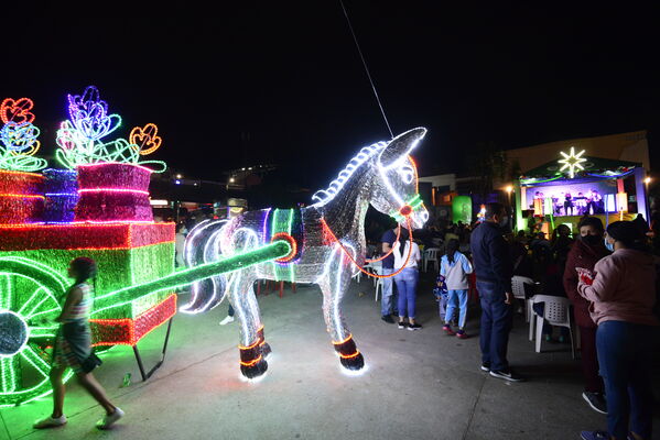 Alumbrados el Peñol
Alumbrados el Peñol.
Fecha: Noviembre 28 2021.
El pasado 28 de noviembre, en compañía de toda la comunidad de El Peñol, se encendieron las luces de navidad en ese municipio del oriente de Antioquia. Estos alumbrados hacen parte del premio Cuidamundos, otorgado por EPM a esta comunidad.
Para descargar esta fotografía en alta resolución, haga clic sobre la imagen hasta que la misma se despliegue en la pantalla completa; luego dé clic derecho y elija la opción "guardar imagen como".
En caso de publicación por cualquier medio, solicitamos acompañarla del crédito: "Foto EPM"
Palabras clave: Alumbrados Peñol