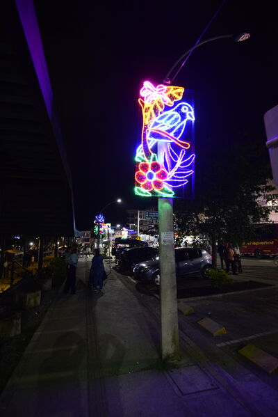 Alumbrados el Peñol
Alumbrados el Peñol.
Fecha: Noviembre 28 2021.
El pasado 28 de noviembre, en compañía de toda la comunidad de El Peñol, se encendieron las luces de navidad en ese municipio del oriente de Antioquia. Estos alumbrados hacen parte del premio Cuidamundos, otorgado por EPM a esta comunidad.
Para descargar esta fotografía en alta resolución, haga clic sobre la imagen hasta que la misma se despliegue en la pantalla completa; luego dé clic derecho y elija la opción "guardar imagen como".
En caso de publicación por cualquier medio, solicitamos acompañarla del crédito: "Foto EPM"
Palabras clave: Alumbrados Peñol