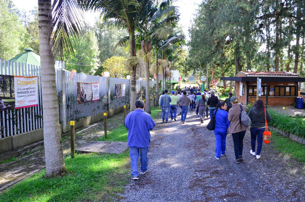 Recorrido Caminos Agua lideres comunitarios Acueducto Sur.
Recorrido Caminos Agua lideres comunitarios Acueducto Sur.
Fecha: Noviembre 16 2019.
Para descargar esta fotografía en alta resolución, haga clic sobre la imagen hasta que la misma se despliegue en la pantalla completa; luego dé clic derecho y elija la opción "guardar imagen como". 
En caso de publicación por cualquier medio, solicitamos acompañarla del crédito: "Foto EPM"
Palabras clave: Recorrido Caminos Agua lideres comunitarios Acueducto Sur.