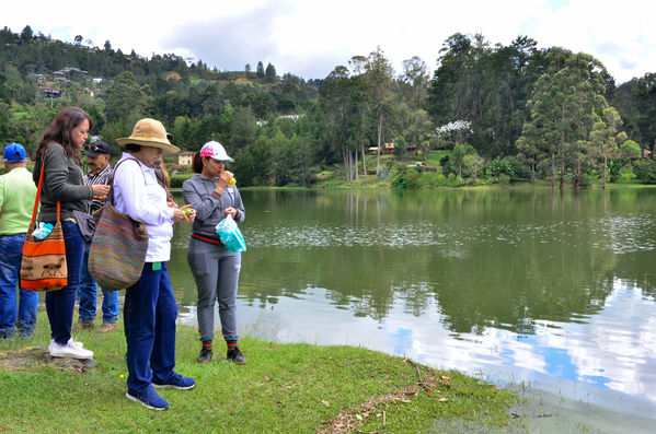 Recorrido Caminos Agua lideres comunitarios Acueducto Sur
Recorrido Caminos Agua lideres comunitarios Acueducto Sur.
Fecha: Noviembre 16 2019.
Para descargar esta fotografía en alta resolución, haga clic sobre la imagen hasta que la misma se despliegue en la pantalla completa; luego dé clic derecho y elija la opción "guardar imagen como". 
En caso de publicación por cualquier medio, solicitamos acompañarla del crédito: "Foto EPM"
Palabras clave: Recorrido Caminos Agua lideres comunitarios Acueducto Sur