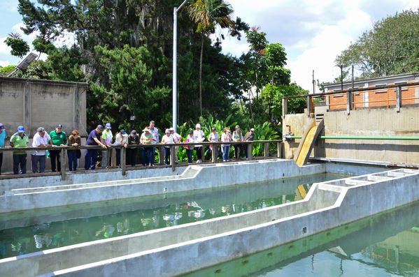 Recorrido Caminos Agua lideres comunitarios Acueducto Sur
Recorrido Caminos Agua lideres comunitarios Acueducto Sur.
Fecha: Noviembre 16 2019.
Para descargar esta fotografía en alta resolución, haga clic sobre la imagen hasta que la misma se despliegue en la pantalla completa; luego dé clic derecho y elija la opción "guardar imagen como". 
En caso de publicación por cualquier medio, solicitamos acompañarla del crédito: "Foto EPM"
Palabras clave: Recorrido Caminos Agua lideres comunitarios Acueducto Sur