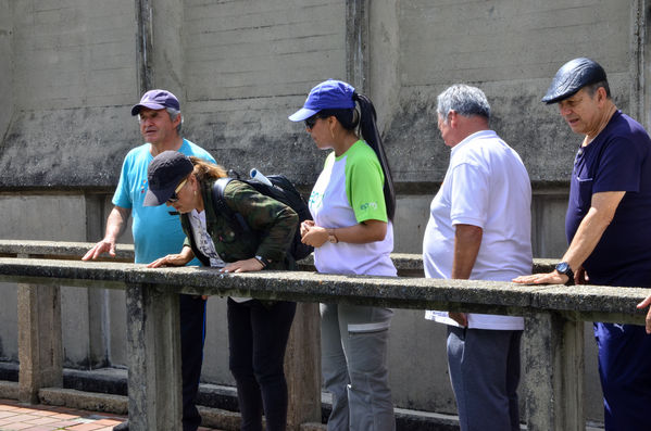 Recorrido Caminos Agua lideres comunitarios Acueducto Sur
Recorrido Caminos Agua lideres comunitarios Acueducto Sur.
Fecha: Noviembre 16 2019.
Para descargar esta fotografía en alta resolución, haga clic sobre la imagen hasta que la misma se despliegue en la pantalla completa; luego dé clic derecho y elija la opción "guardar imagen como". 
En caso de publicación por cualquier medio, solicitamos acompañarla del crédito: "Foto EPM"
Palabras clave: Recorrido Caminos Agua lideres comunitarios Acueducto Sur