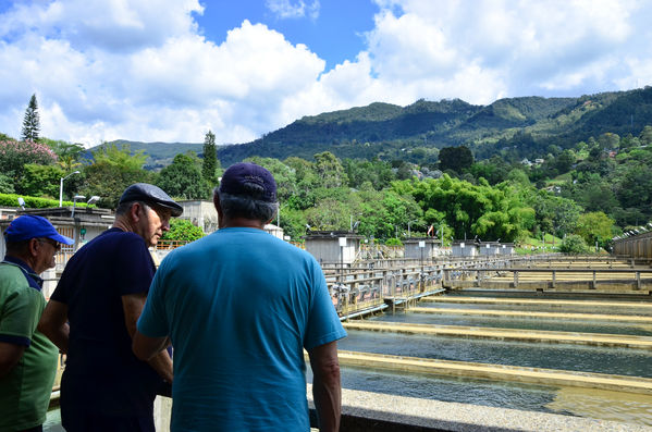 Recorrido Caminos Agua lideres comunitarios Acueducto Sur
Recorrido Caminos Agua lideres comunitarios Acueducto Sur.
Fecha: Noviembre 16 2019.
Para descargar esta fotografía en alta resolución, haga clic sobre la imagen hasta que la misma se despliegue en la pantalla completa; luego dé clic derecho y elija la opción "guardar imagen como". 
En caso de publicación por cualquier medio, solicitamos acompañarla del crédito: "Foto EPM"
Palabras clave: Recorrido Caminos Agua lideres comunitarios Acueducto Sur