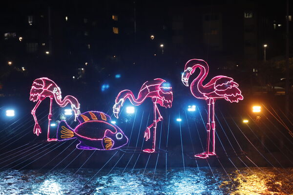 Alumbrados 2020 Parques del Río
Alumbrados 2020 Parques del Río.
Fecha: Noviembre 18 2020. 
Para descargar esta fotografía en alta resolución, haga clic sobre la imagen hasta que la misma se despliegue en la pantalla completa; luego dé clic derecho y elija la opción "guardar imagen como". 
En caso de publicación por cualquier medio, solicitamos acompañarla del crédito: "Foto EPM"
Palabras clave: Alumbrados 2020 Parques del Río