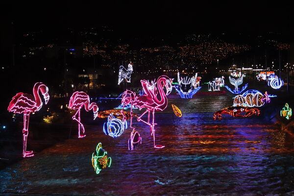 Alumbrados 2020 Parques del Río
Alumbrados 2020 Parques del Río.
Fecha: Noviembre 18 2020. 
Para descargar esta fotografía en alta resolución, haga clic sobre la imagen hasta que la misma se despliegue en la pantalla completa; luego dé clic derecho y elija la opción "guardar imagen como". 
En caso de publicación por cualquier medio, solicitamos acompañarla del crédito: "Foto EPM"
Palabras clave: Alumbrados 2020 Parques del Río