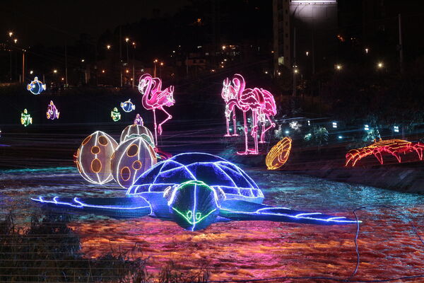 Alumbrados 2020 Parques del Río
Alumbrados 2020 Parques del Río.
Fecha: Noviembre 18 2020. 
Para descargar esta fotografía en alta resolución, haga clic sobre la imagen hasta que la misma se despliegue en la pantalla completa; luego dé clic derecho y elija la opción "guardar imagen como". 
En caso de publicación por cualquier medio, solicitamos acompañarla del crédito: "Foto EPM"
Palabras clave: Alumbrados 2020 Parques del Río