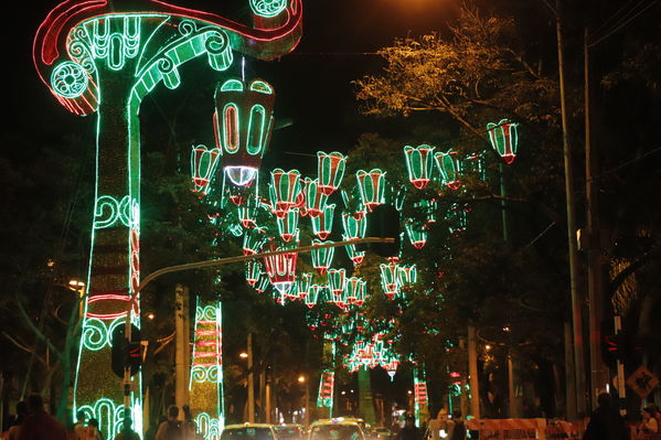 Alumbrado Navideño
Alumbrado Navideño
Fecha: Noviembre 30 de 2017
Para descargar esta fotografía en alta resolución, haga clic sobre la imagen hasta que la misma se despliegue en la pantalla completa; luego dé clic derecho y elija la opción "guardar imagen como". 
En caso de publicación por cualquier medio, solicitamos acompañarla del crédito: "Foto EPM"
Palabras clave: Alumbrado Navideño