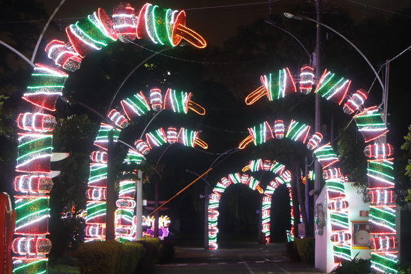 Alumbrado Navideño
Alumbrado Navideño
Fecha: Noviembre 30 de 2017
Para descargar esta fotografía en alta resolución, haga clic sobre la imagen hasta que la misma se despliegue en la pantalla completa; luego dé clic derecho y elija la opción "guardar imagen como". 
En caso de publicación por cualquier medio, solicitamos acompañarla del crédito: "Foto EPM"
Palabras clave: Alumbrado Navideño