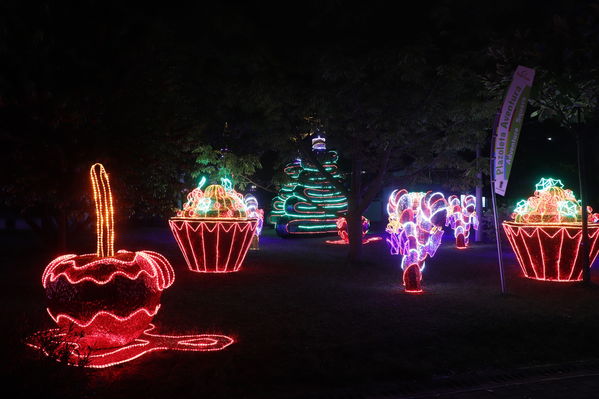 Alumbrado Navideño
Alumbrado Navideño
Fecha: Noviembre 30 de 2017
Para descargar esta fotografía en alta resolución, haga clic sobre la imagen hasta que la misma se despliegue en la pantalla completa; luego dé clic derecho y elija la opción "guardar imagen como". 
En caso de publicación por cualquier medio, solicitamos acompañarla del crédito: "Foto EPM"
Palabras clave: Alumbrado Navideño