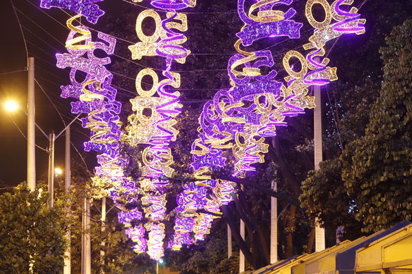 Alumbrado Navideño
Alumbrado Navideño
Fecha: Noviembre 30 de 2017
Para descargar esta fotografía en alta resolución, haga clic sobre la imagen hasta que la misma se despliegue en la pantalla completa; luego dé clic derecho y elija la opción "guardar imagen como". 
En caso de publicación por cualquier medio, solicitamos acompañarla del crédito: "Foto EPM"
Palabras clave: Alumbrado Navideño