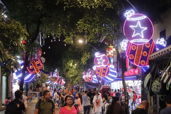 Alumbrado Navideño
Alumbrado Navideño
Fecha: Noviembre 30 de 2017
Para descargar esta fotografía en alta resolución, haga clic sobre la imagen hasta que la misma se despliegue en la pantalla completa; luego dé clic derecho y elija la opción "guardar imagen como". 
En caso de publicación por cualquier medio, solicitamos acompañarla del crédito: "Foto EPM"
Palabras clave: Alumbrado Navideño