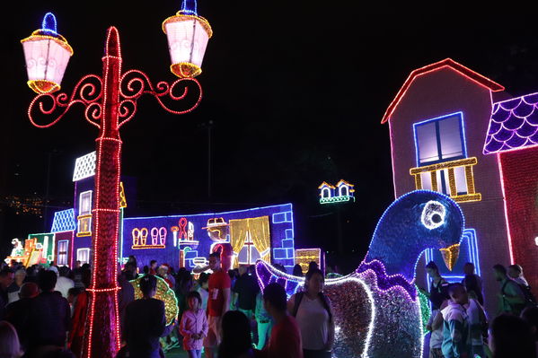 Encendido del Alumbrado Navideño 2019
Encendido del Alumbrado Navideño 2019
Fecha: Noviembre 2 2019.
Para descargar esta fotografía en alta resolución, haga clic sobre la imagen hasta que la misma se despliegue en la pantalla completa; luego dé clic derecho y elija la opción "guardar imagen como". 
En caso de publicación por cualquier medio, solicitamos acompañarla del crédito: "Foto EPM"
Palabras clave: Encendido del Alumbrado Navideño 2019