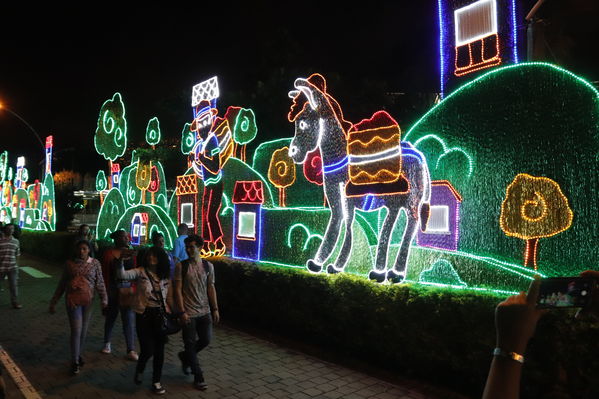 Encendido del Alumbrado Navideño 2019
Encendido del Alumbrado Navideño 2019
Fecha: Noviembre 2 2019.
Para descargar esta fotografía en alta resolución, haga clic sobre la imagen hasta que la misma se despliegue en la pantalla completa; luego dé clic derecho y elija la opción "guardar imagen como". 
En caso de publicación por cualquier medio, solicitamos acompañarla del crédito: "Foto EPM"
Palabras clave: Encendido del Alumbrado Navideño 2019