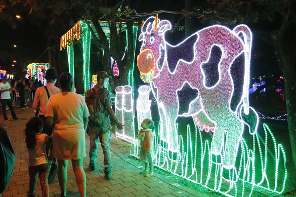 Encendido del Alumbrado Navideño 2019
Encendido del Alumbrado Navideño 2019
Fecha: Noviembre 2 2019.
Para descargar esta fotografía en alta resolución, haga clic sobre la imagen hasta que la misma se despliegue en la pantalla completa; luego dé clic derecho y elija la opción "guardar imagen como". 
En caso de publicación por cualquier medio, solicitamos acompañarla del crédito: "Foto EPM"
Palabras clave: Encendido del Alumbrado Navideño 2019