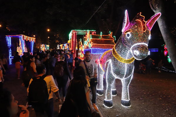 Encendido del Alumbrado Navideño 2019
Encendido del Alumbrado Navideño 2019
Fecha: Noviembre 2 2019.
Para descargar esta fotografía en alta resolución, haga clic sobre la imagen hasta que la misma se despliegue en la pantalla completa; luego dé clic derecho y elija la opción "guardar imagen como". 
En caso de publicación por cualquier medio, solicitamos acompañarla del crédito: "Foto EPM"
Palabras clave: Encendido del Alumbrado Navideño 2019