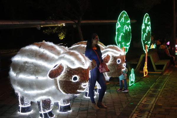 Encendido del Alumbrado Navideño 2019
Encendido del Alumbrado Navideño 2019
Fecha: Noviembre 2 2019.
Para descargar esta fotografía en alta resolución, haga clic sobre la imagen hasta que la misma se despliegue en la pantalla completa; luego dé clic derecho y elija la opción "guardar imagen como". 
En caso de publicación por cualquier medio, solicitamos acompañarla del crédito: "Foto EPM"
Palabras clave: Encendido del Alumbrado Navideño 2019