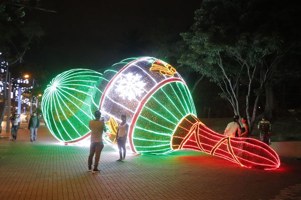 Alumbrado Navideño
Alumbrado Navideño
Fecha: Noviembre 30 de 2017
Para descargar esta fotografía en alta resolución, haga clic sobre la imagen hasta que la misma se despliegue en la pantalla completa; luego dé clic derecho y elija la opción "guardar imagen como". 
En caso de publicación por cualquier medio, solicitamos acompañarla del crédito: "Foto EPM"
Palabras clave: Alumbrado Navideño